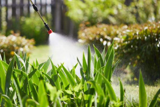 24/7 Emergency Wasp Removal experts in St. James City, FL