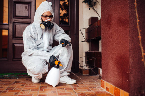 Reliable Wasp Removal contractor in St. James City, FL by Show Me Pest Control